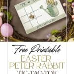 Peter Rabbit Easter Tic-Tac-Toe-Game-Cards-Pinterest-Pin