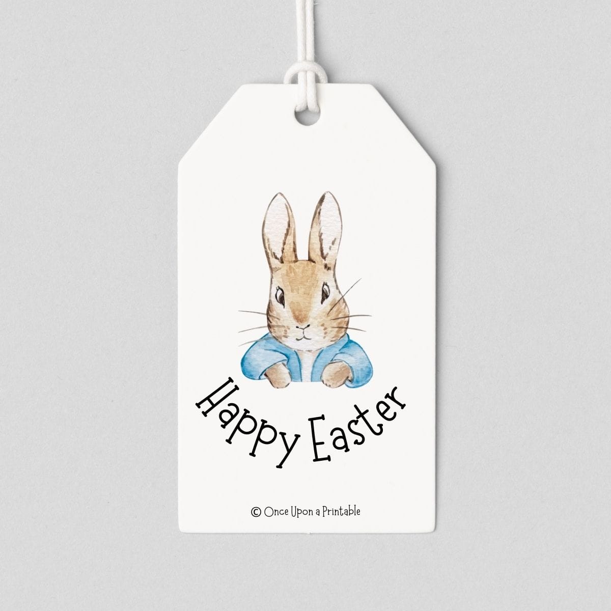Easter Bunny Gift tags with peter rabbit.