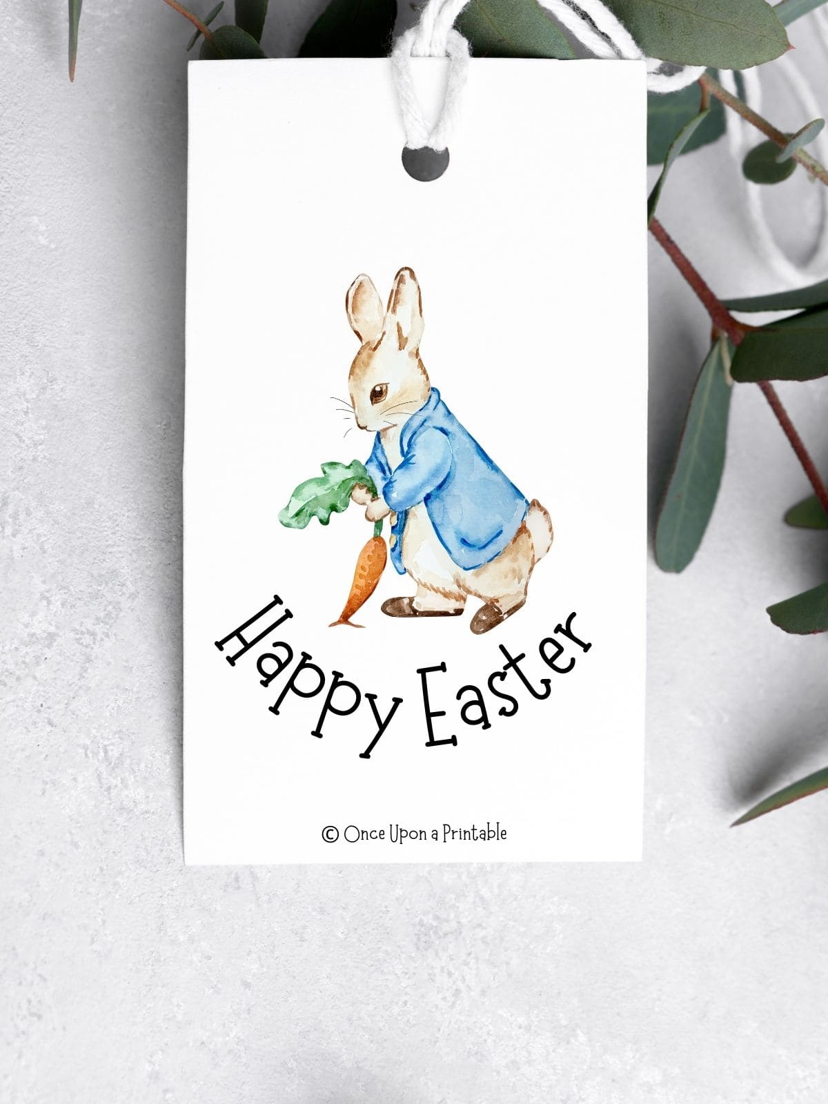 Peter Rabbit Easter bunny gift tags. 