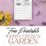 free printable Johnny Crow's garden calendar coloring pages, pinterest pin with a purple background and flowers.