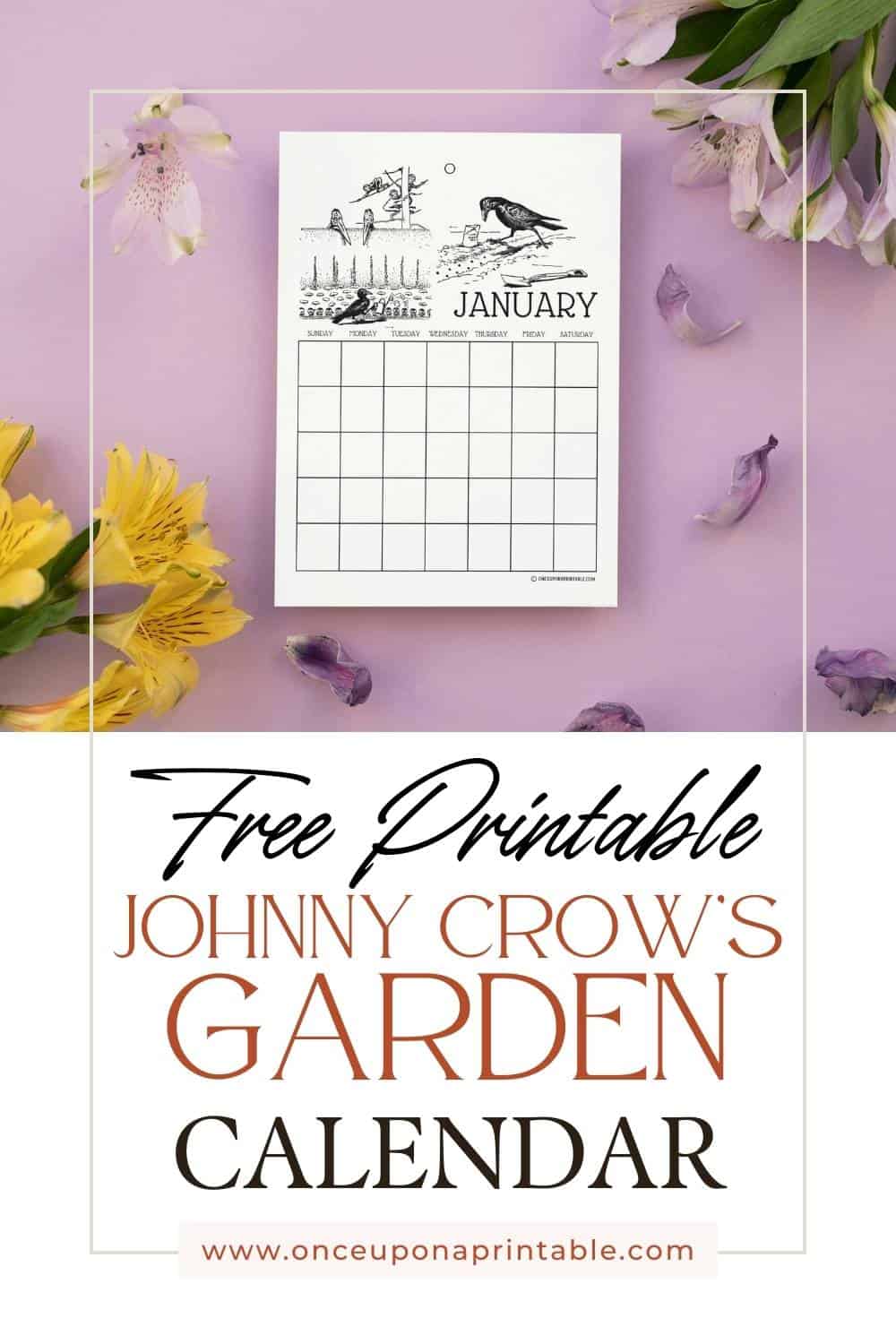 free printable Johnny Crow's garden calendar coloring pages, pinterest pin with a purple background and flowers. 