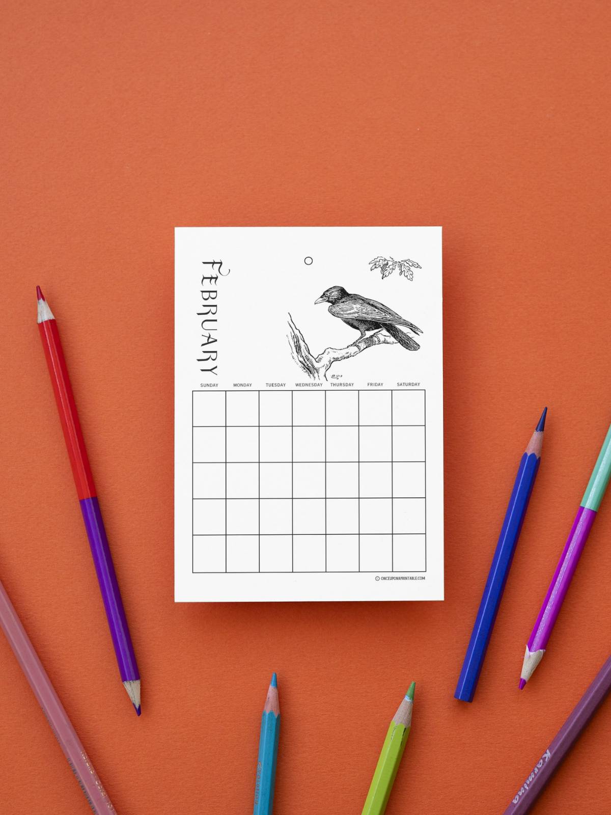 The Tailor and the Crow coloring Calendar page.