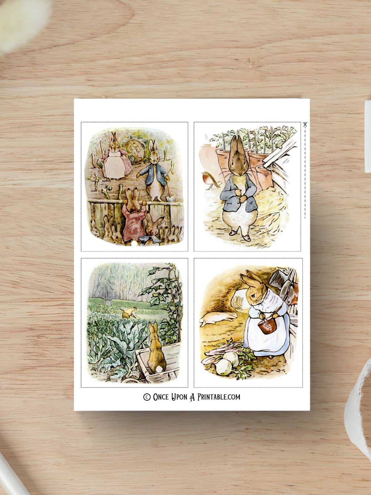 Peter Rabbit original illustrations by Beatrix Potter.