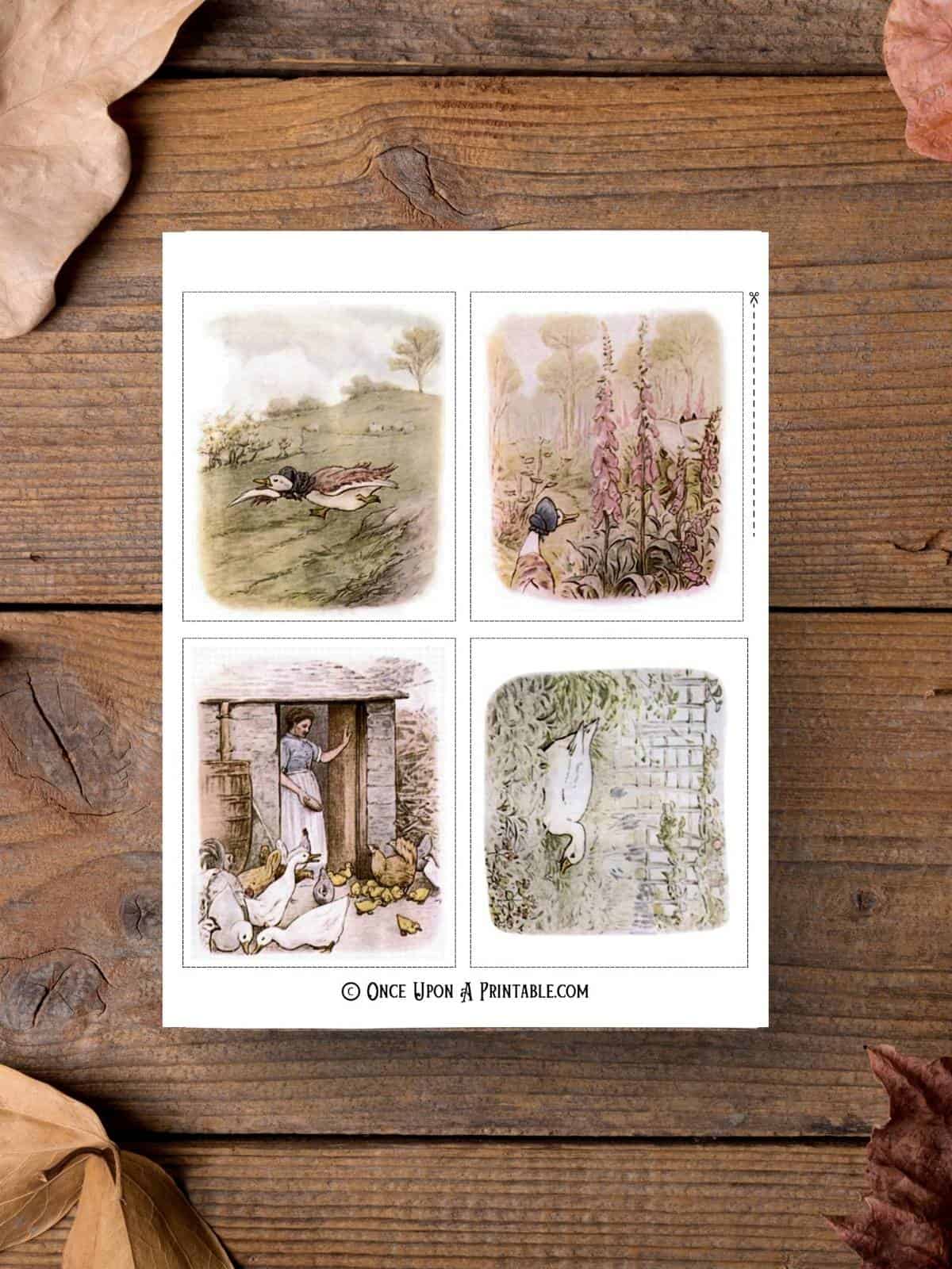 Original Jemima Puddle-duck illustrations by Beatrix Potter.