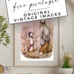 Original Jemima Puddle-duck illustrations by Beatrix Potter.