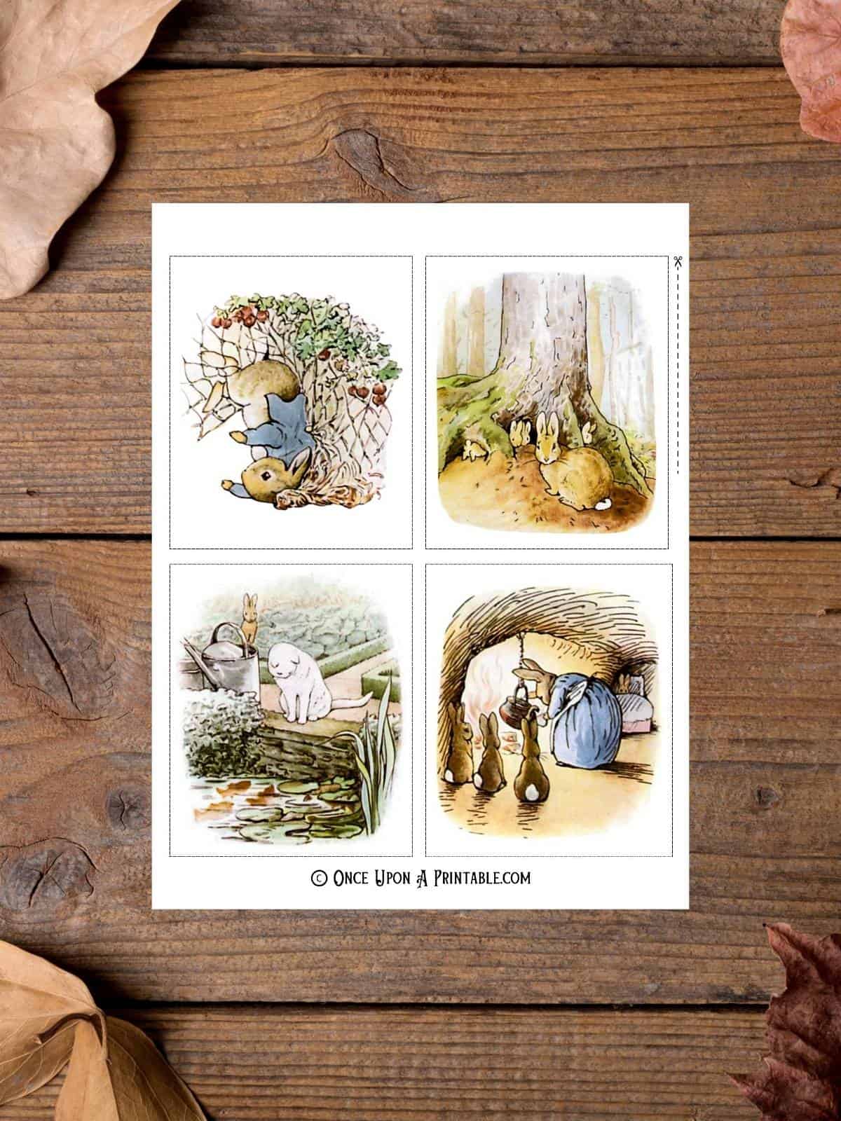 Peter Rabbit original illustrations by Beatrix Potter.