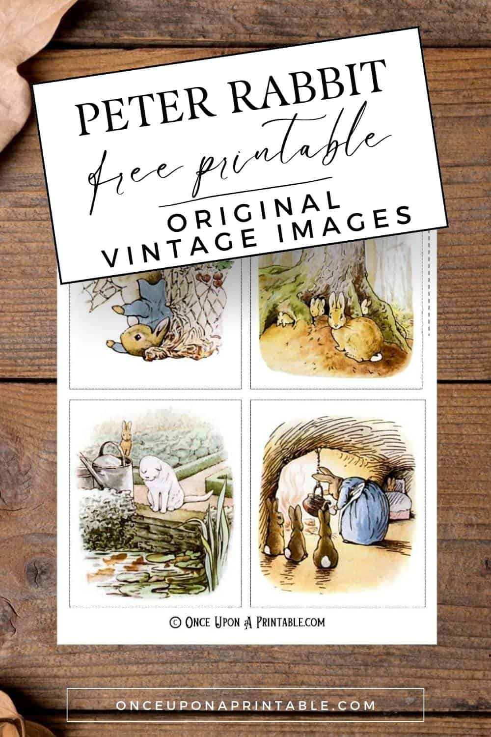 Peter Rabbit original illustrations by Beatrix Potter.