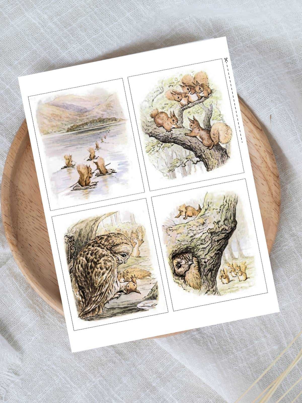 Squirrel Nutkin by Beatrix Potter illustrations from the Tale of Squirrel Nutkin.