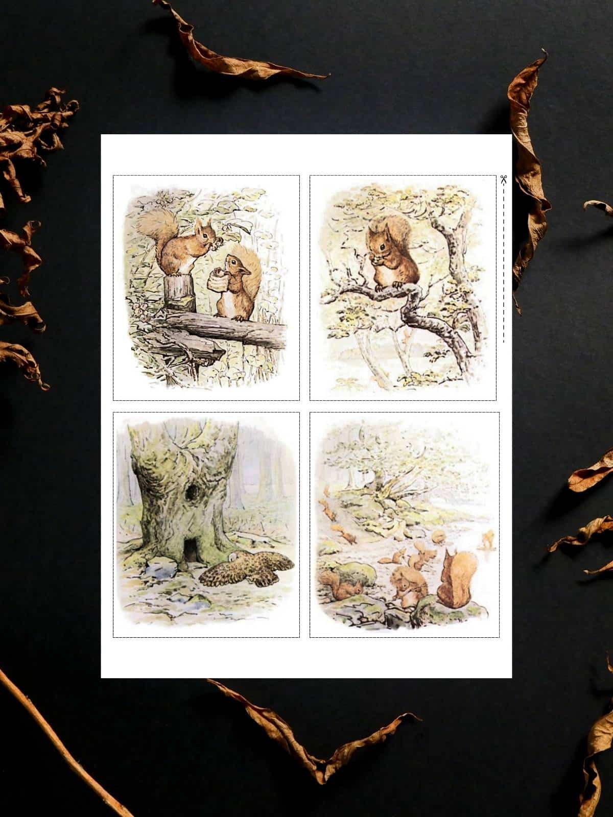 Squirrel Nutkin by Beatrix Potter illustrations from the Tale of Squirrel Nutkin.