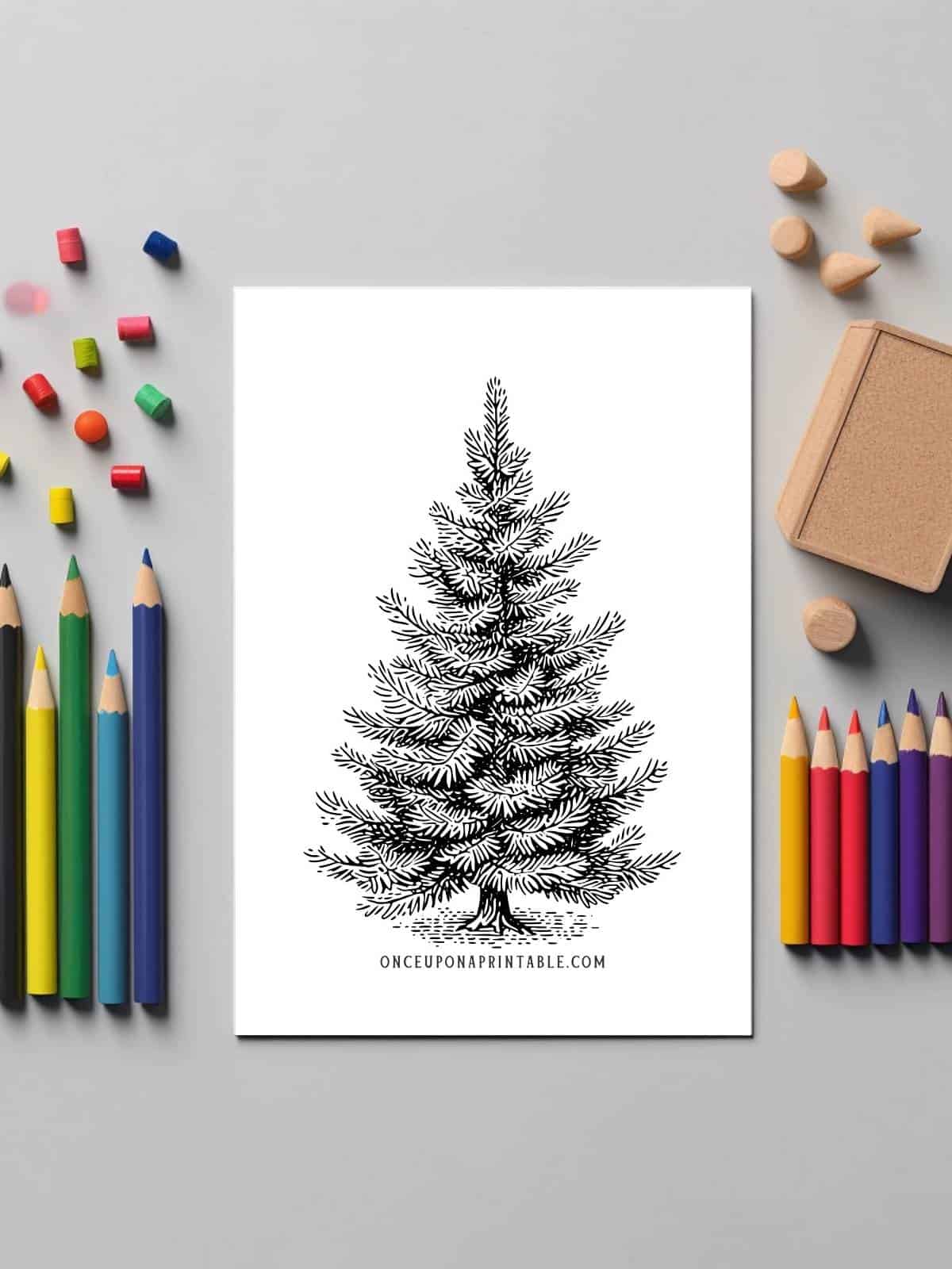 Christmas tree coloring page.