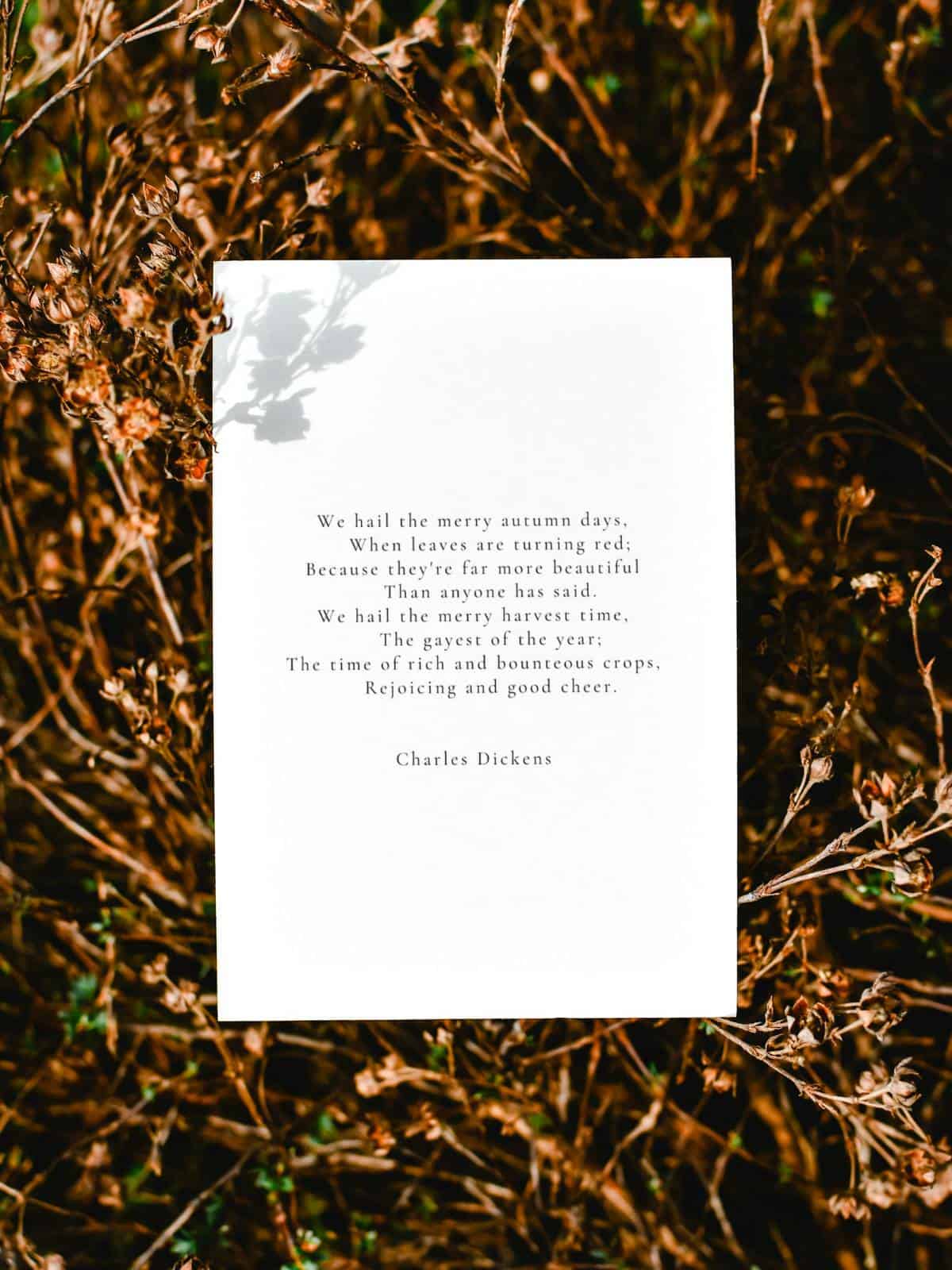 A Charles Dickens poem on a greeting card sitting in dried plants.