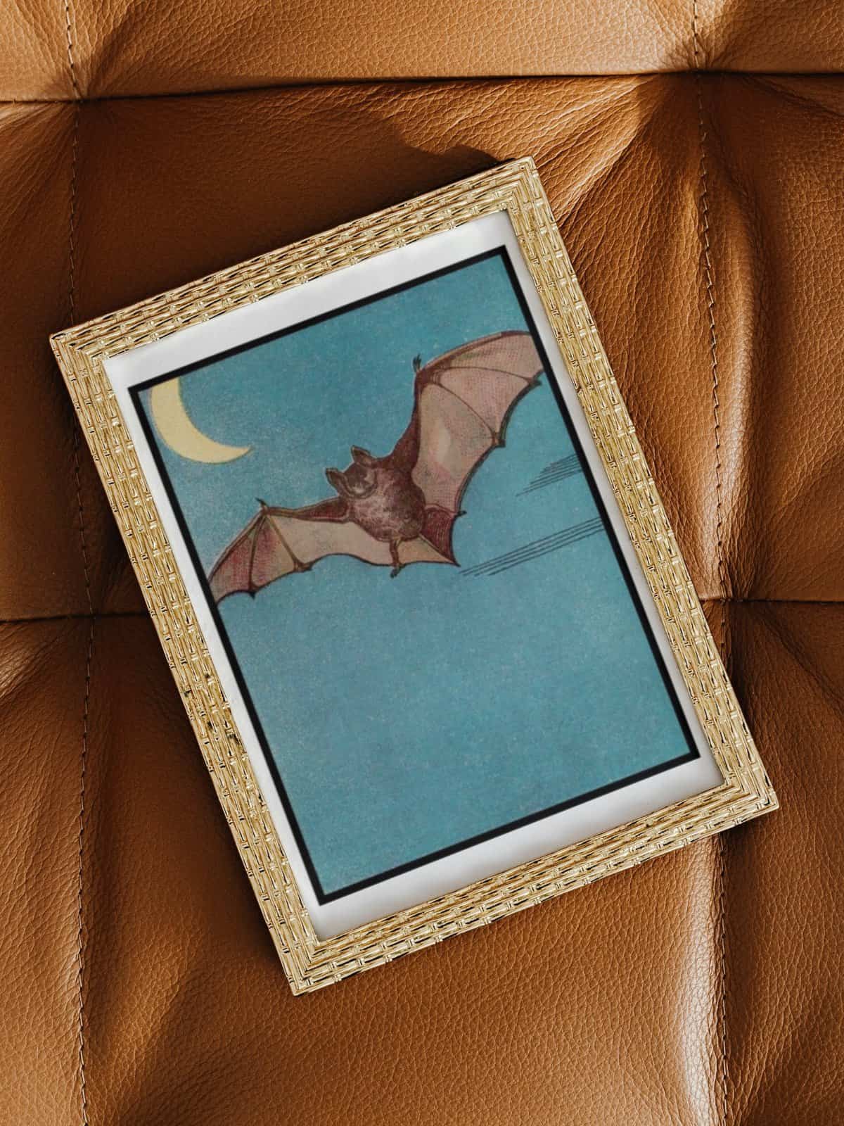A vintage illustration of a bat flying in a blue sky, framed in a golden frame laying on a brown leather couch.