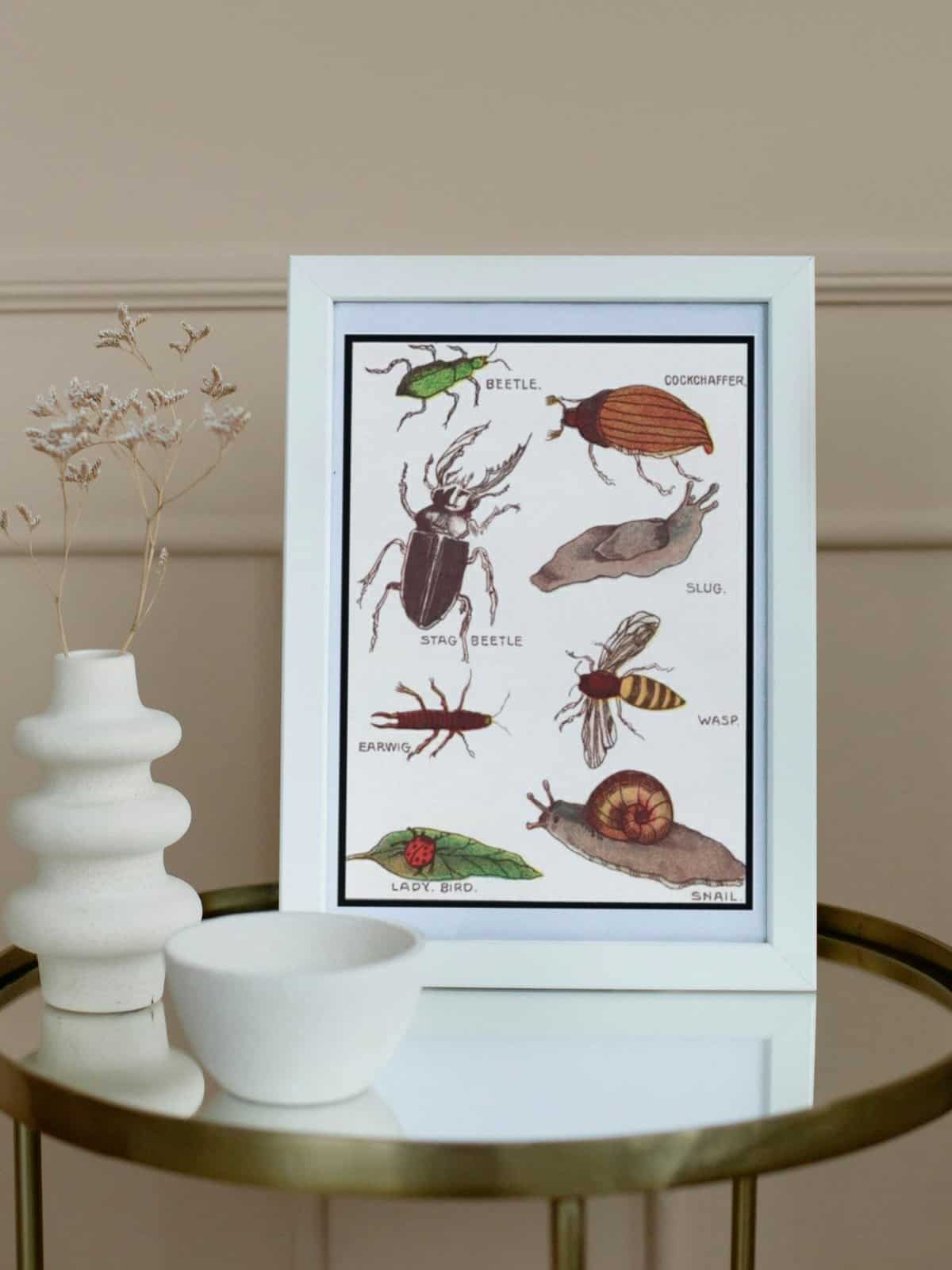 An illustration of common garden insects framed in a white frame and displayed on a glass table with a white case and a white bowl.