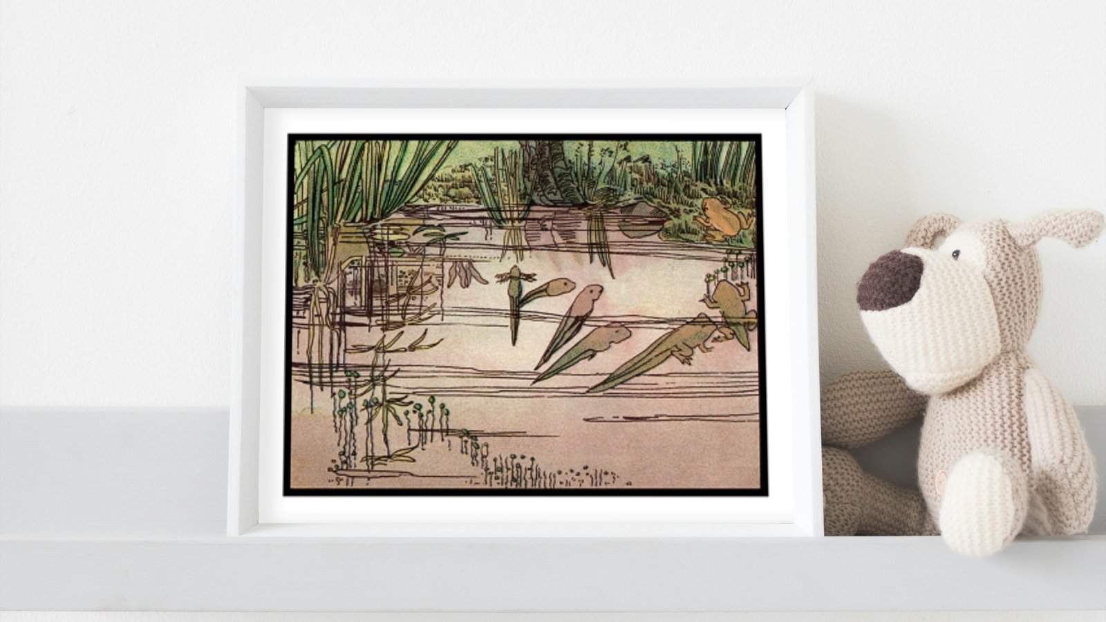 Illustrations from the book "Pond and Stream" from Arthur Ransome's nature books for children, framed and displayed next to a stuffed dog.