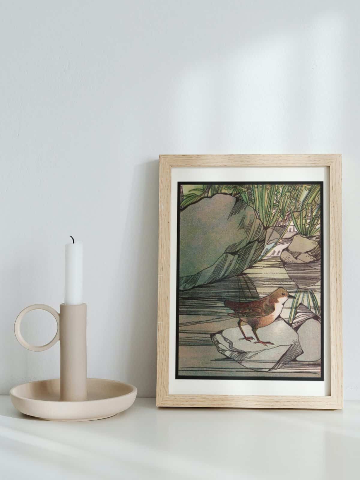 Bird illustration from the vintage book "Pond and Stream" illustrated by Frances Craine, displayed next to a candlestick.