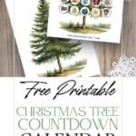 Watercolor illustrated Christmas tree countdown calendar and ornaments.