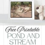 Illustrations from the book "Pond and Stream" from Arthur Ransome's nature books for children, framed and displayed next to a stuffed dog.