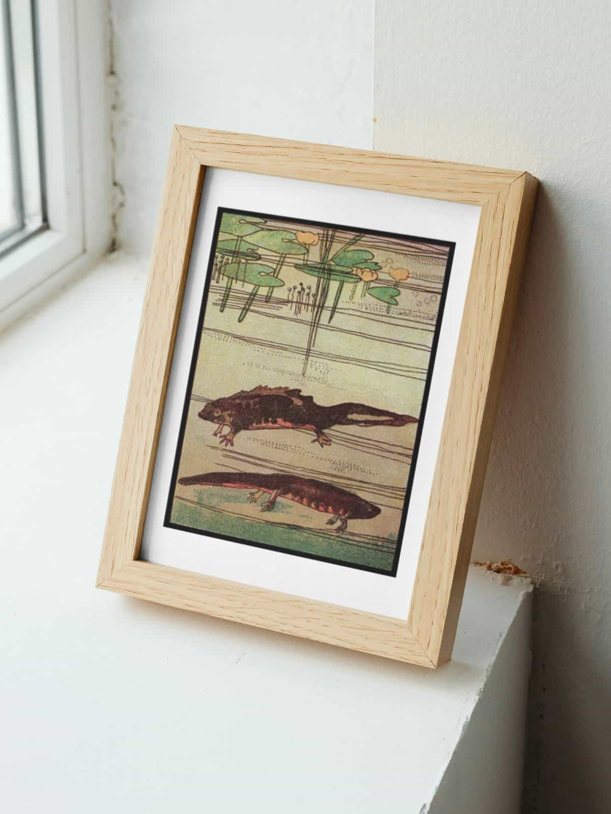 Illustration of salamanders in a stream framed and sitting on a window ledge.