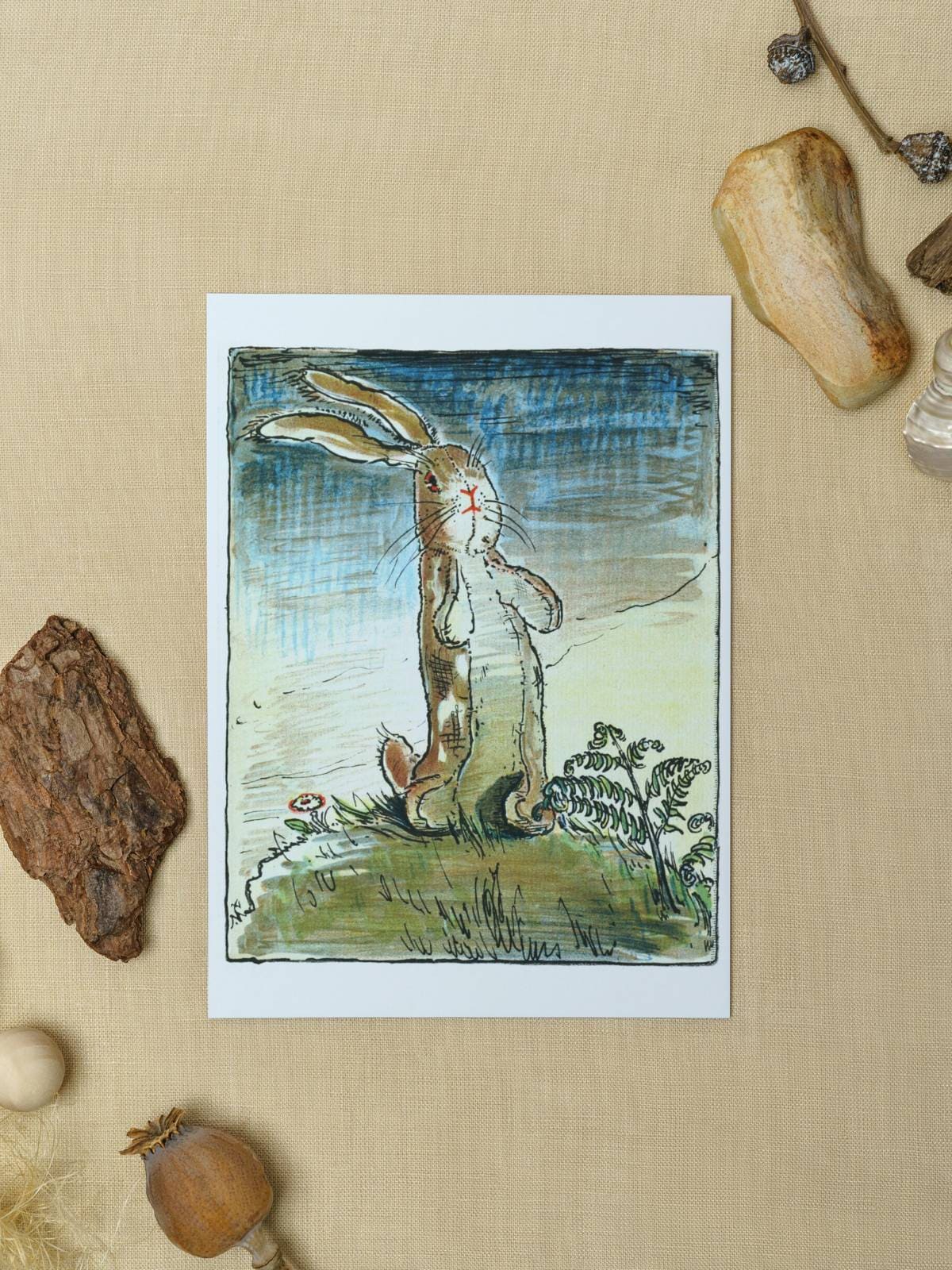 An illustrated Velveteen Rabbit note card in full color displayed with rocks.