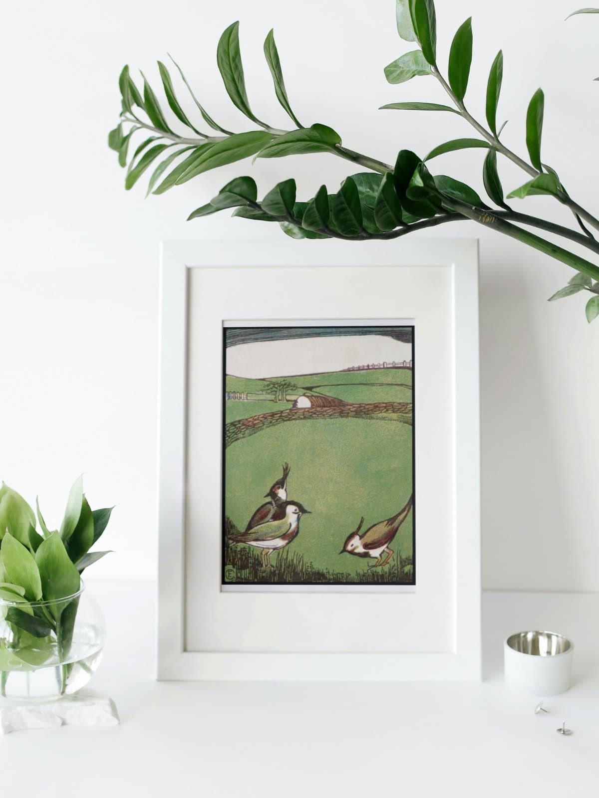 Things we find in our garden, bird illustration framed in a white frame sitting next to green plants in vases.