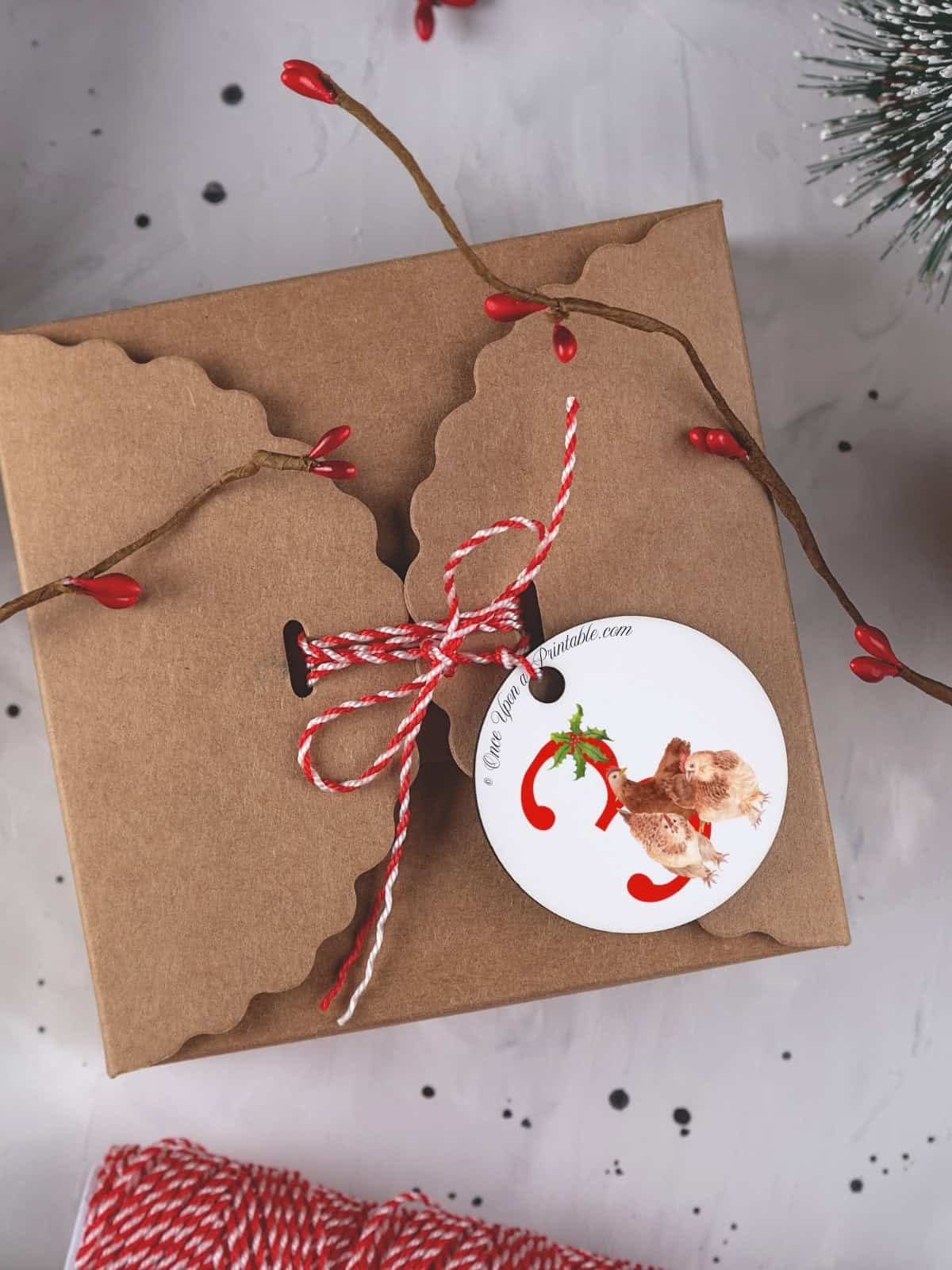 Bold red watercolor graphic of three french hens, christmas gift tag.