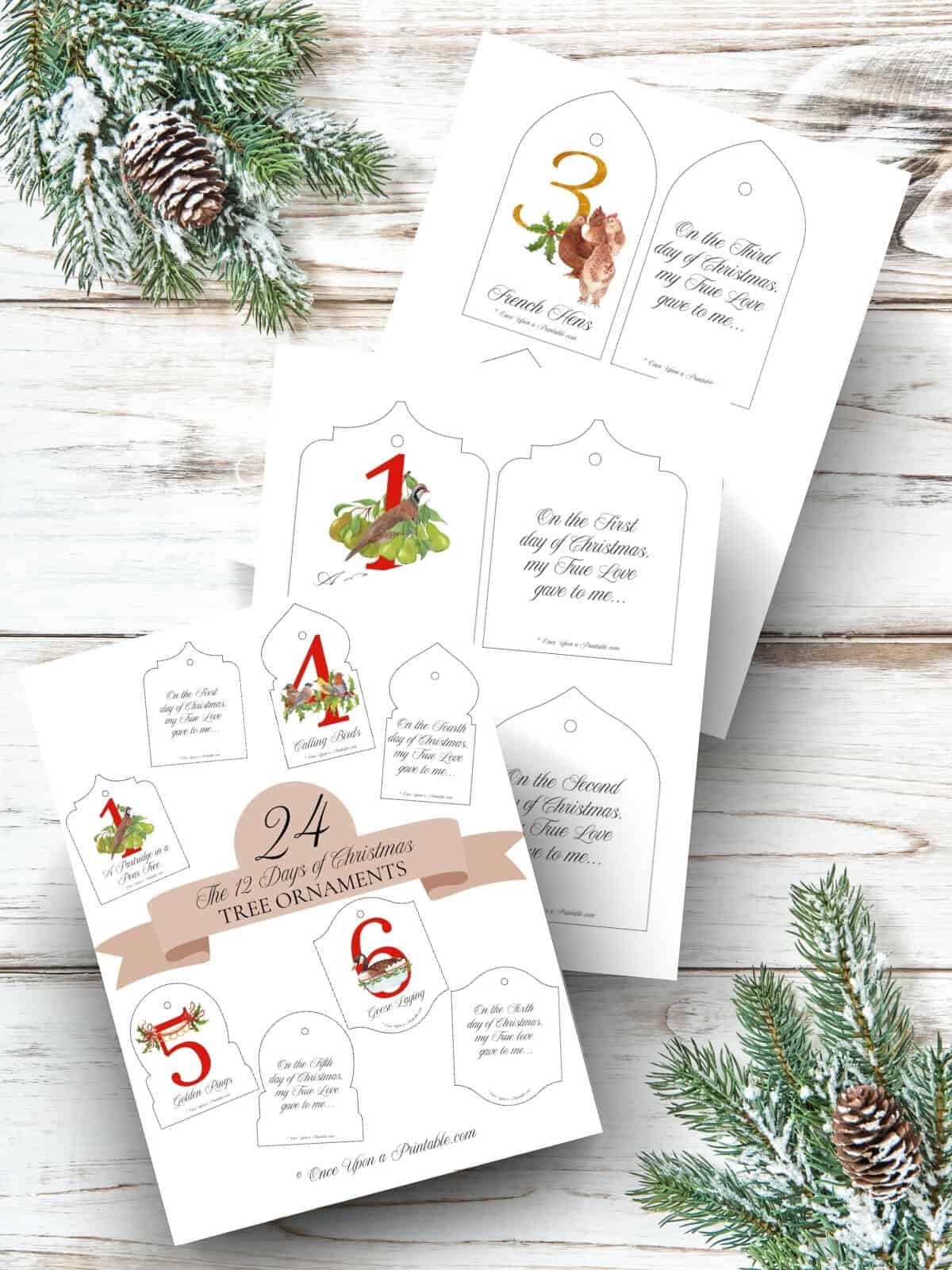 Bold watercolor 12 days of Christmas graphics printed and displayed on a wooden background with christmas garland.