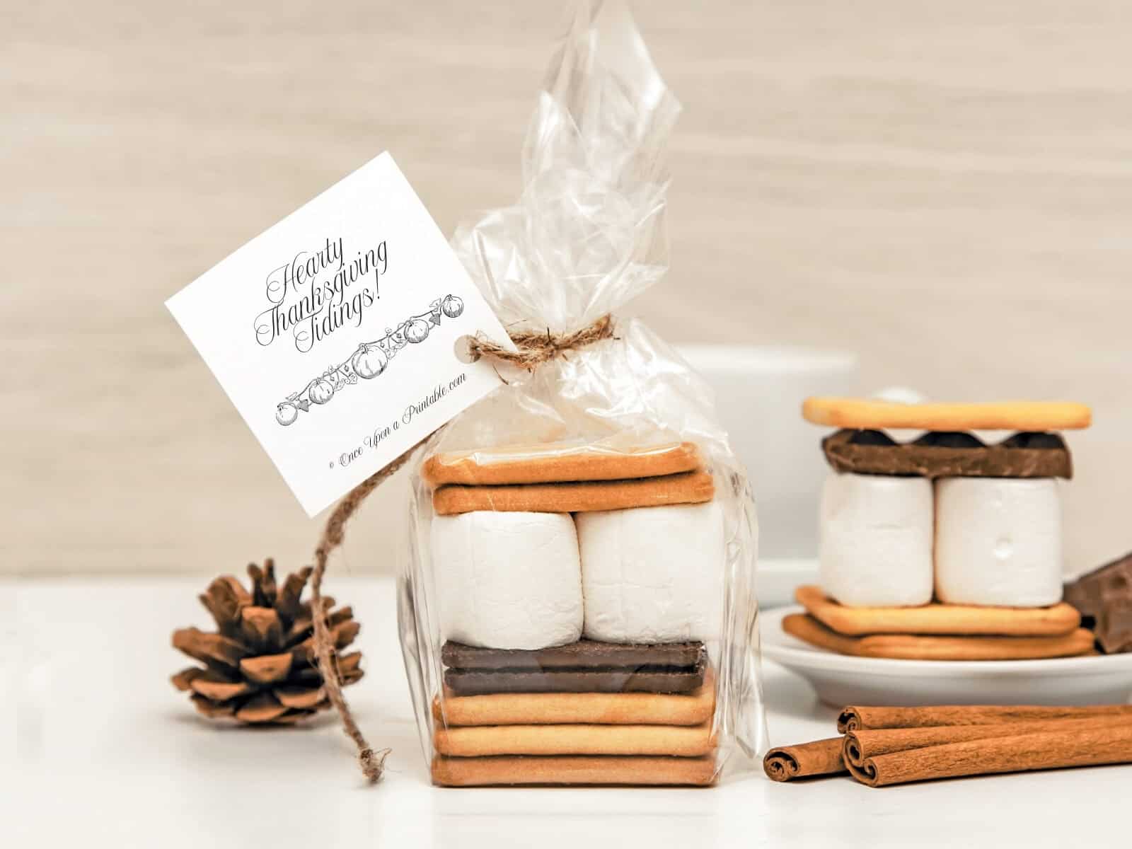 Fall and thanksgiving party favor tags on a bag of smore kits.