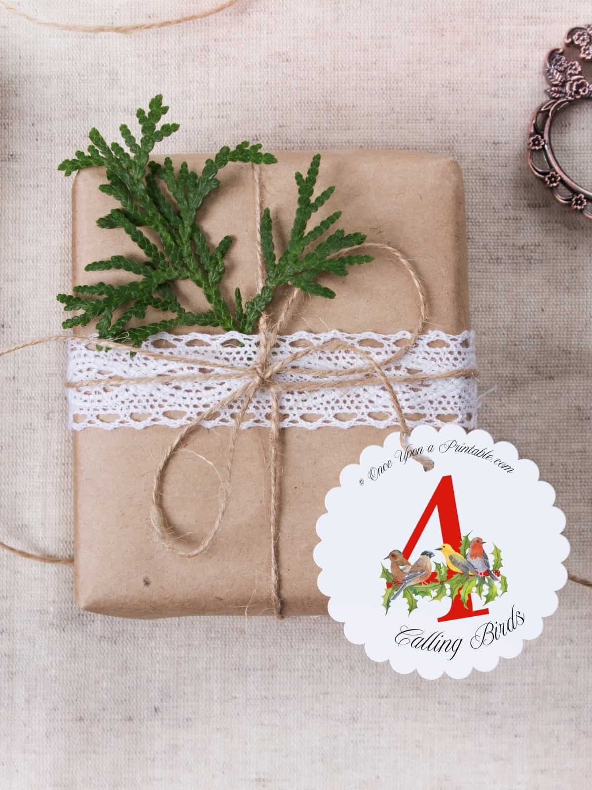 Four calling birds classic watercolor gift tag on a brown paper package.