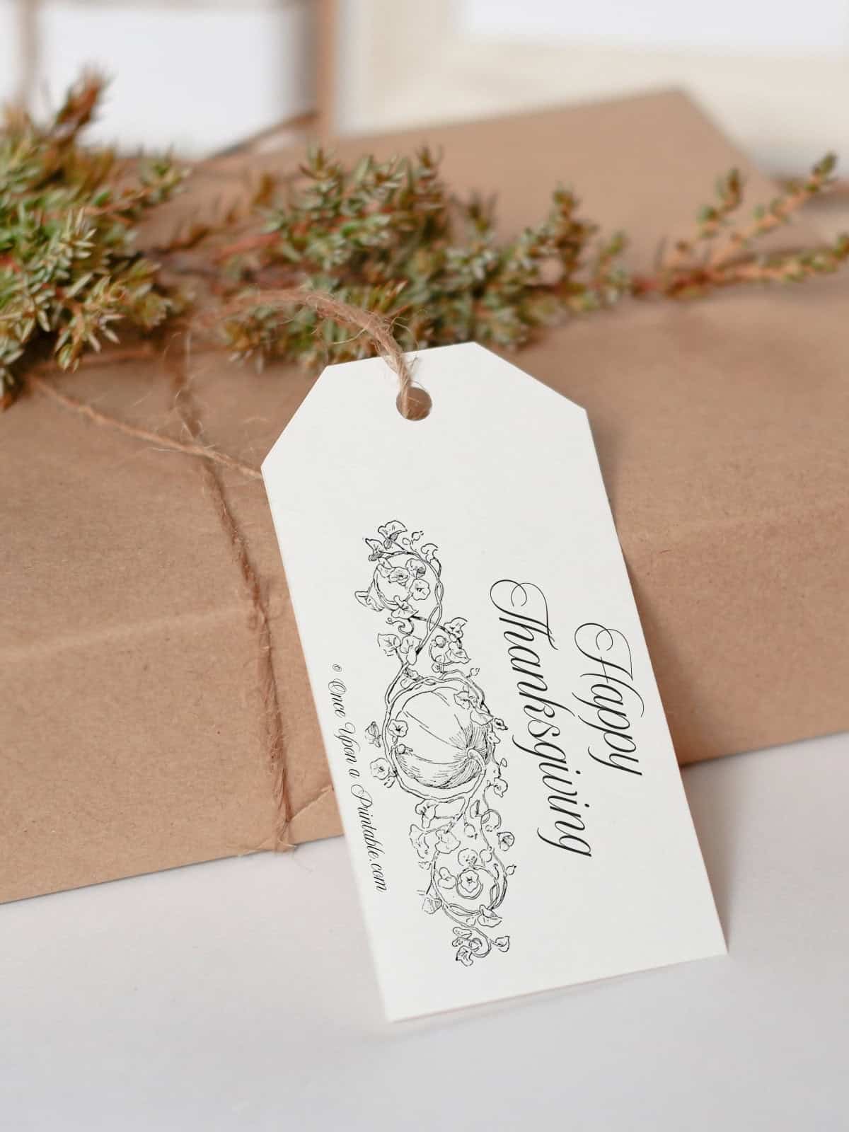 Happy Thanksgiving illustrated tag on a gift with garland.