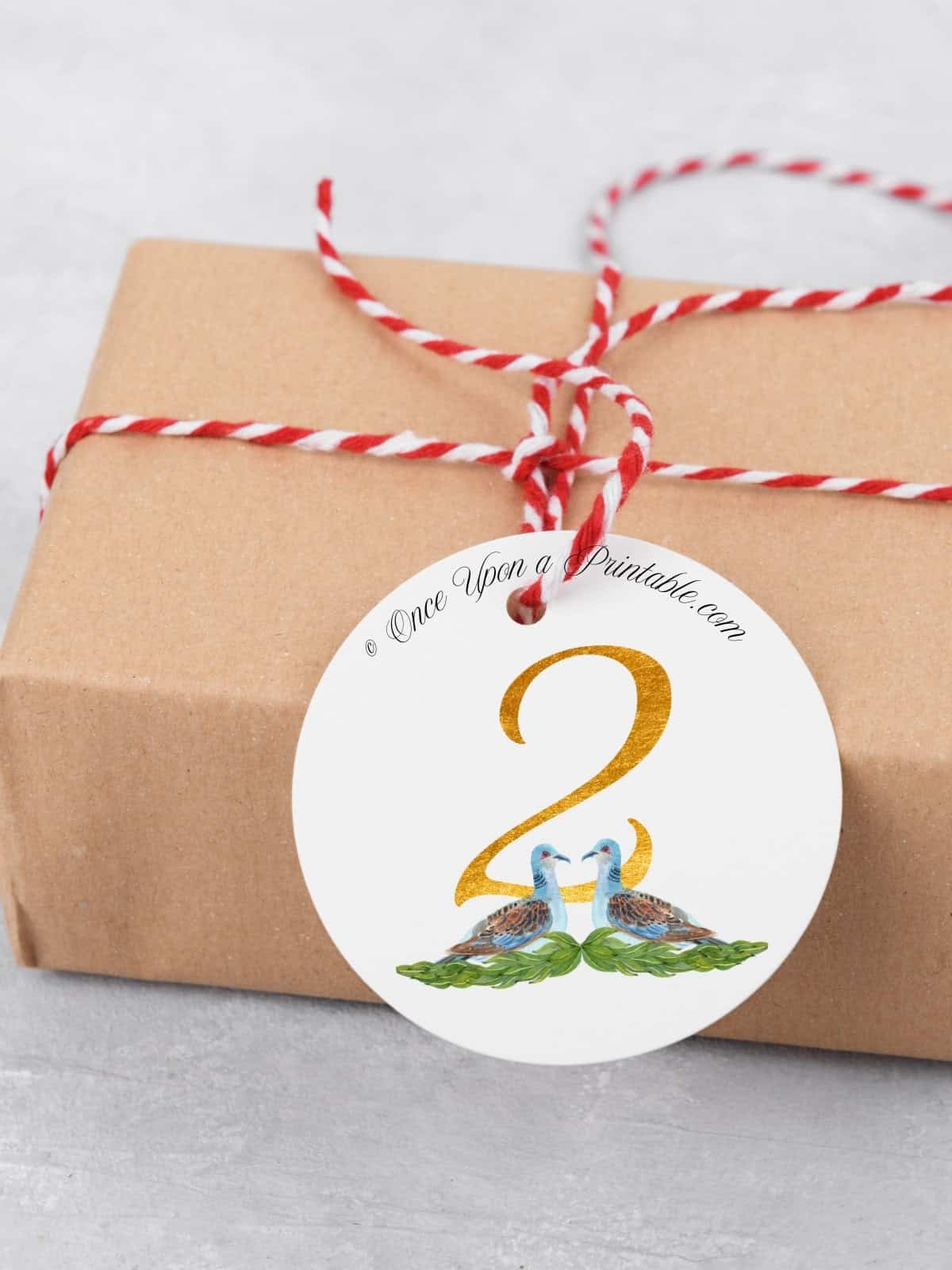 Two turtle dove watercolor gift tag.