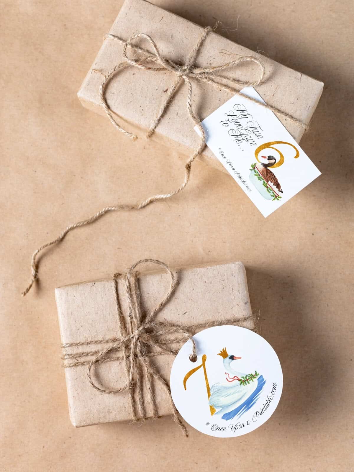 Two styles of classic muted watercolor graphic gift tags on brown paper packages for the advent "12 days of christmas".