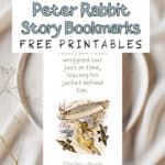 Story bookmark illustrated with peter rabbit laying on a ceramic plate with babies breath flowers.