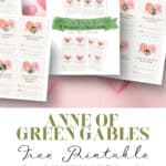 Anne of Green Gables valentine cards collection laying on a pink heart background.