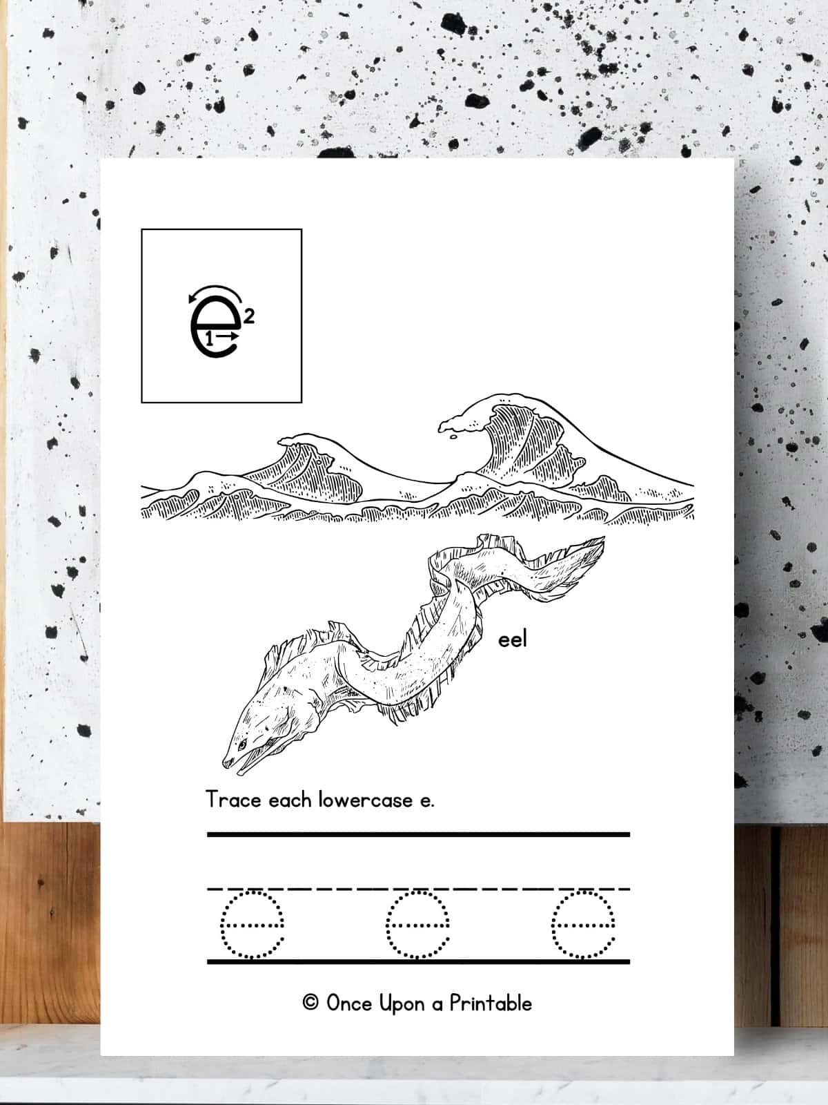Lowercase e tracing with an eel picture laying on a speckled background.