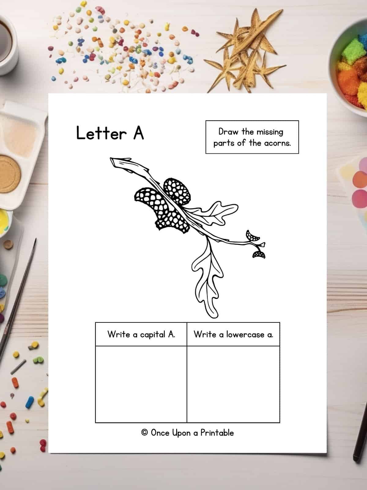 All about letter a finishing acorn picture. 