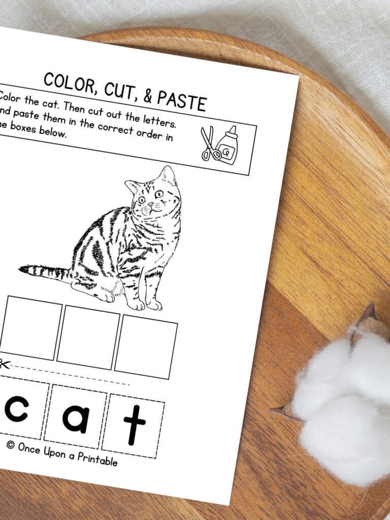 Letter C color, cut, and paste activity with a cat and the letters c, a, and t. 