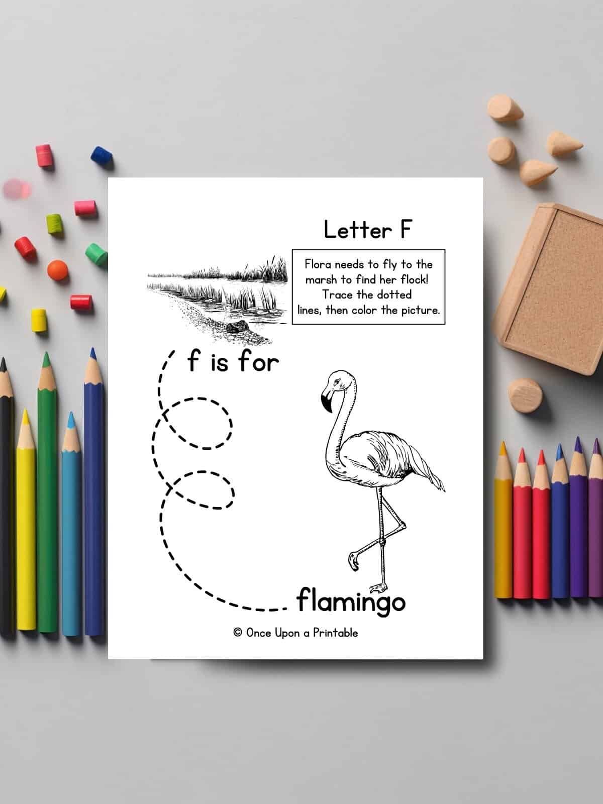 Letter F line tracing and coloring page with a flamingo and a marsh laying next to colored pencils.