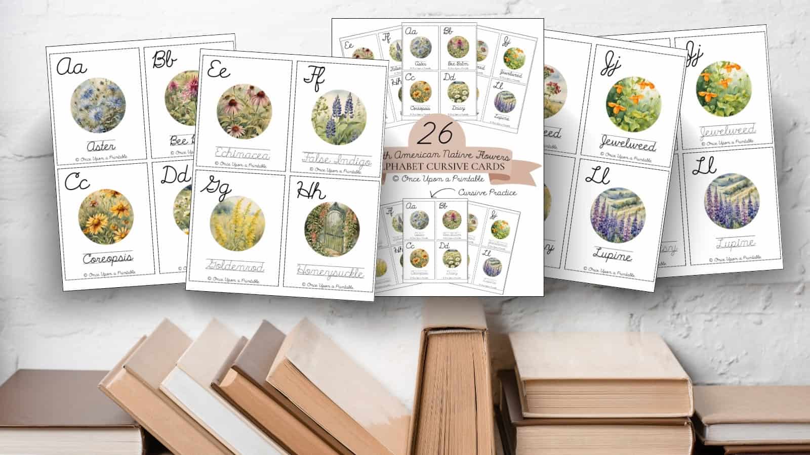 North American wildflower cursive practice and identification cards. 