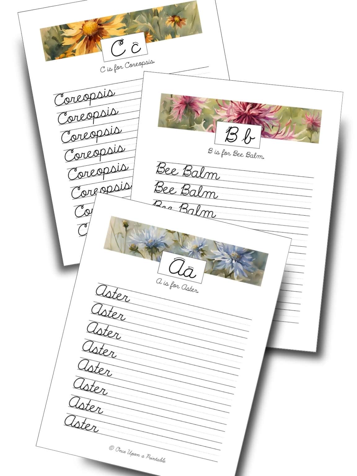 North American Wildflower Cursive Worksheets (Free to Print) - Once ...