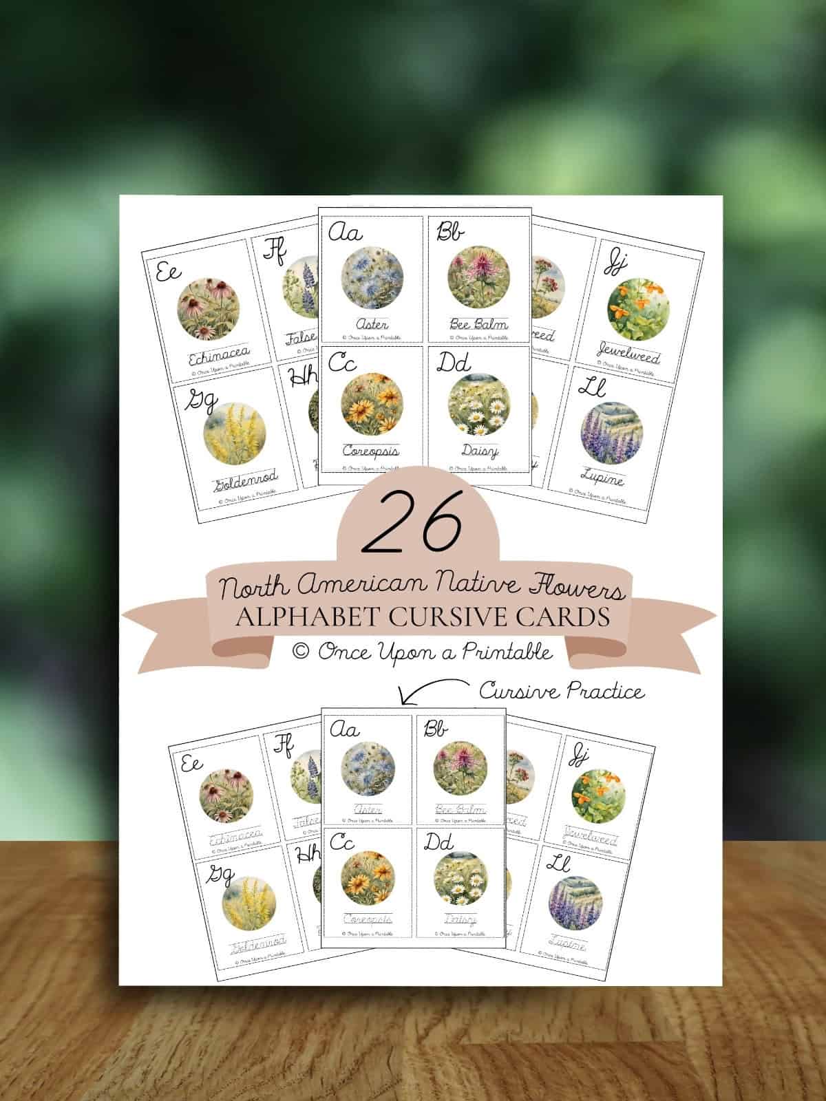 North American Wildflower alphabet cursive cards cover page sitting on a wooden table.