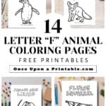 Letter F animal coloring pages laying on tables with coloring supplies.