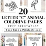 Animal coloring pages that start with the letter C: common kingfisher, crane, chinstrap penguin, and coral snake.