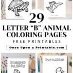 4 Letter B animal coloring pages: box turtle, bat, bearded dragon, and bufflehead duck laying on a table with coloring supplies.