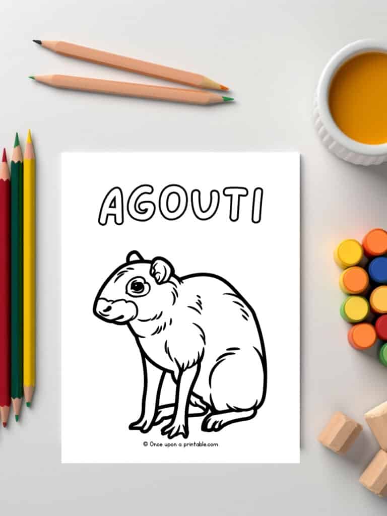 A is for Agouti Animal coloring page laying on a white table with art supplies.