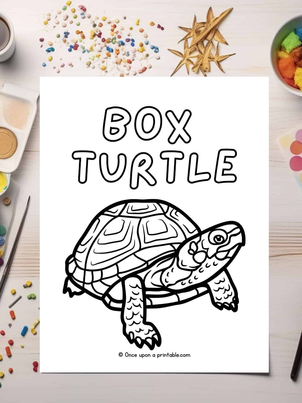 Box Turtle coloring page laying on a table with coloring supplies.