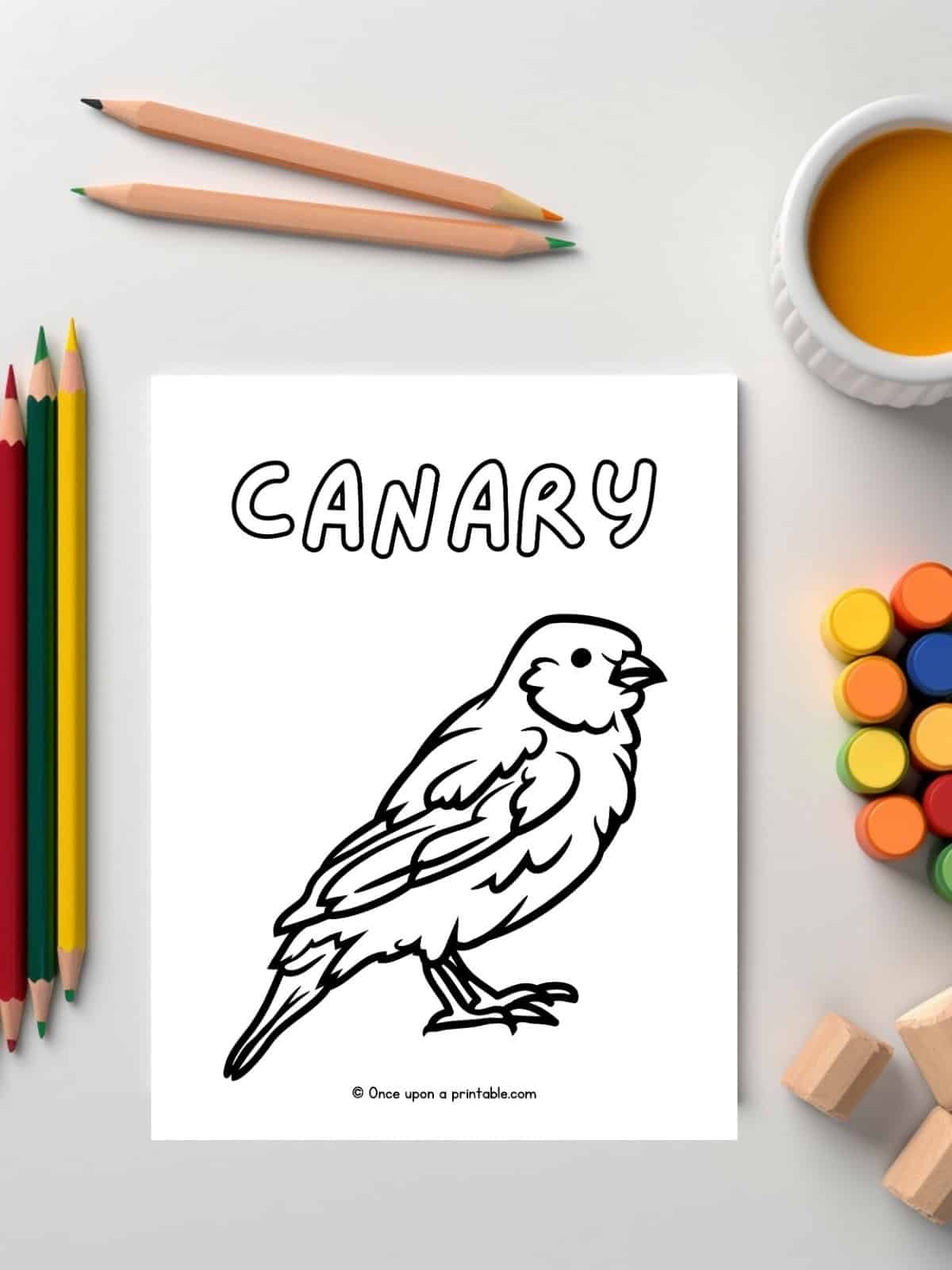 C is for Canary animal coloring page laying on a white table with paints and coloring pencils.