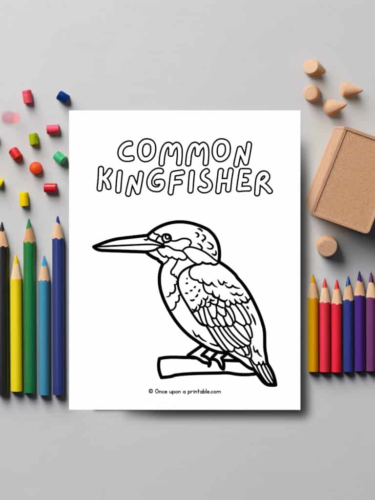 C is for Common Kingfisher animal coloring page laying on a grey table with coloring pencils and crayon bits. 