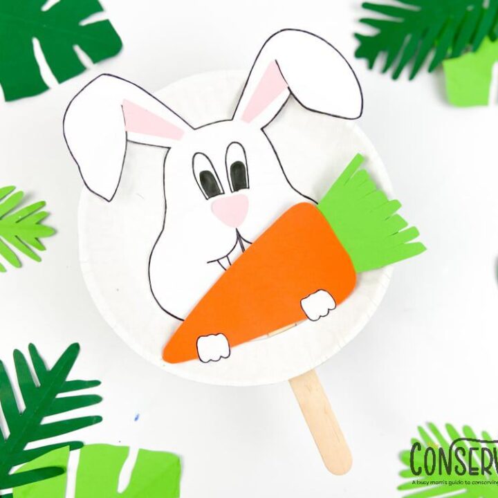 Easter bunny craft with a white paper plate and popsicle stick.
