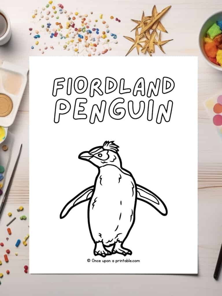 F is for Fiordland penguin coloring sheet laying on a table. 