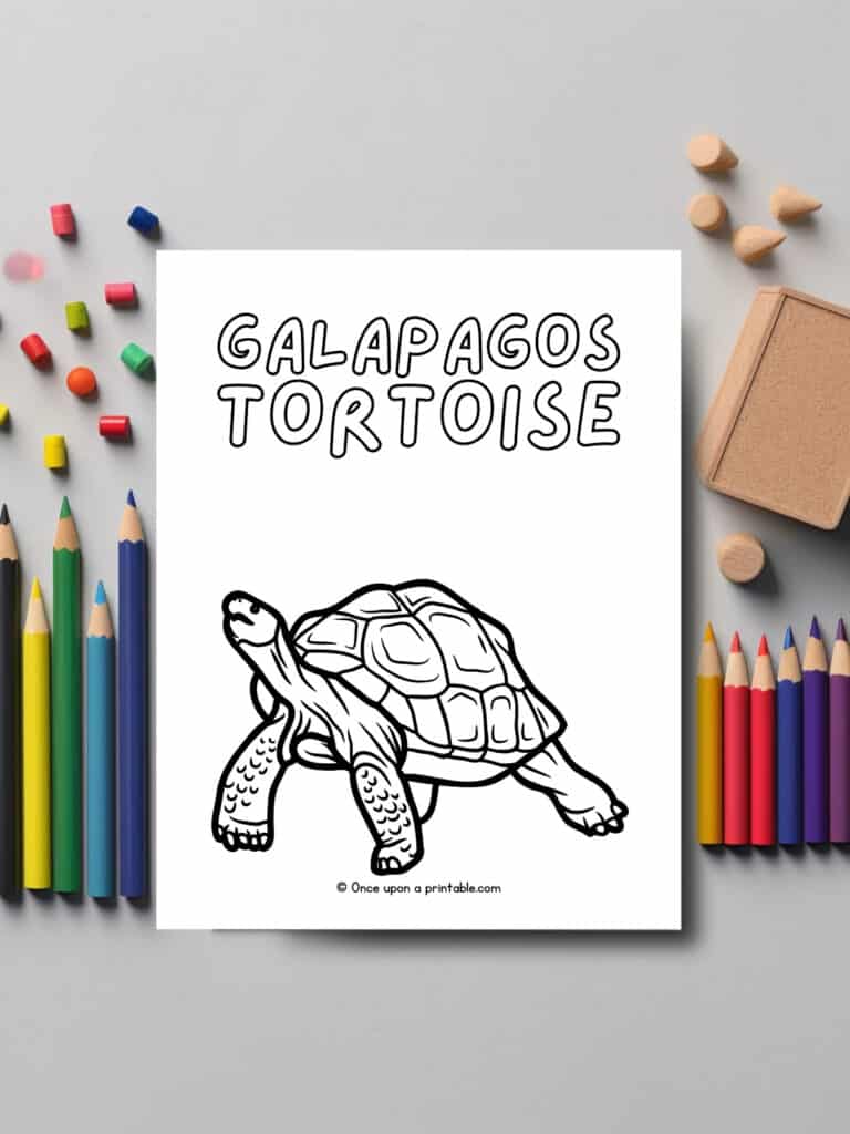 Galapagos Tortoise coloring page laying on a table with coloring pencils. 